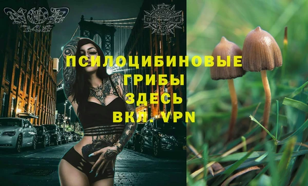 не бодяженный Козловка