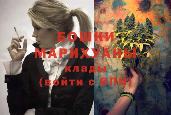 дмт Козельск