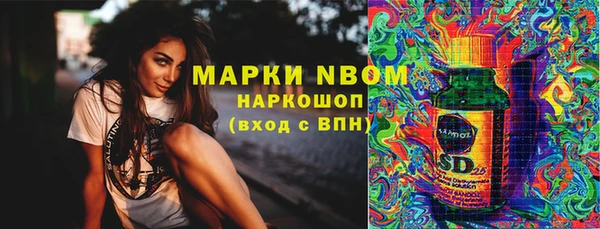 дмт Козельск