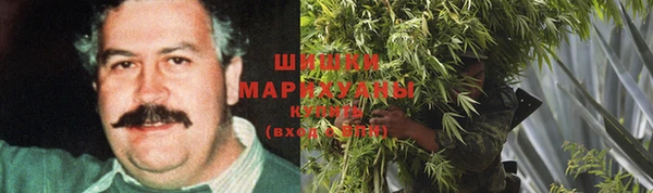 прущая мука Бикин
