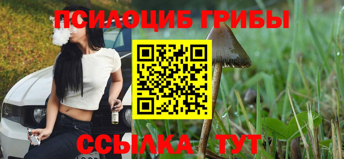 Красноперекопск  Псилоцибиновые грибы MAGIC MUSHROOMS  Вход с VPN  Галлюциногенные грибы прущие грибы 